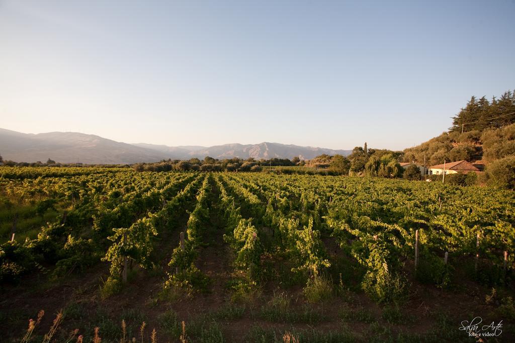 فيلا رانداتسوفي L'Antica Vigna المظهر الخارجي الصورة